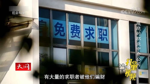 职业中介公司诈骗案告破,警方 他们造成的社会影响太恶劣